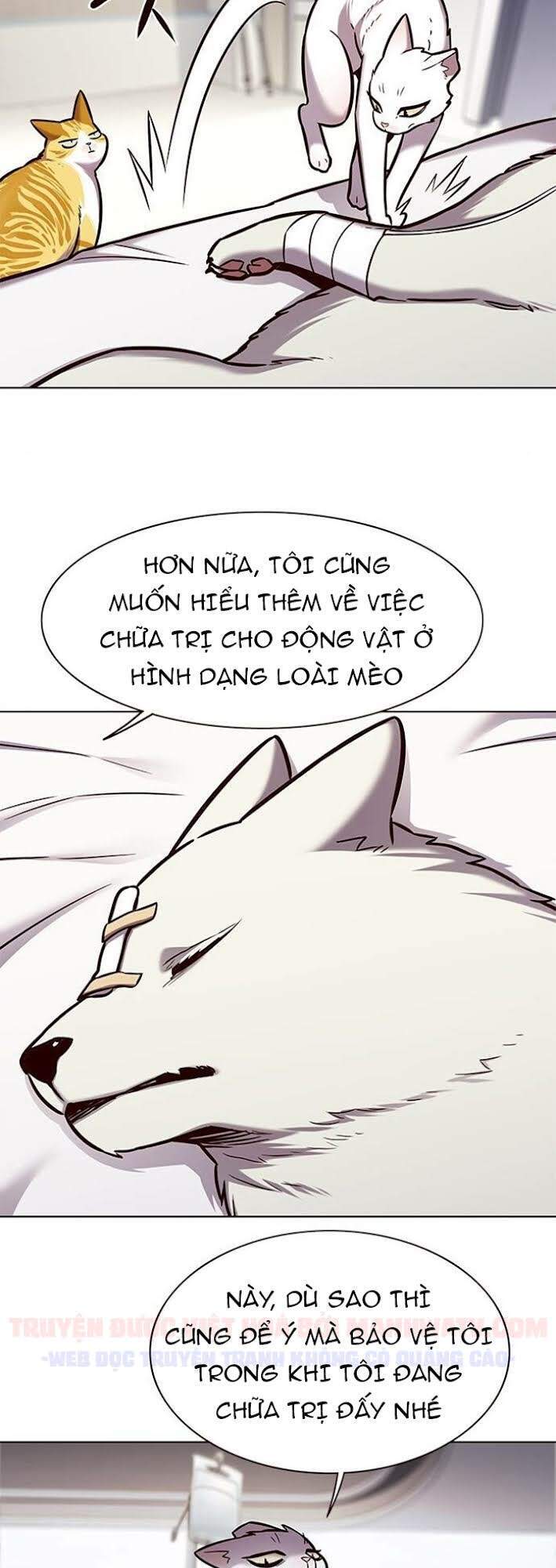 Hoá Thân Thành Mèo Chapter 166 - Trang 2