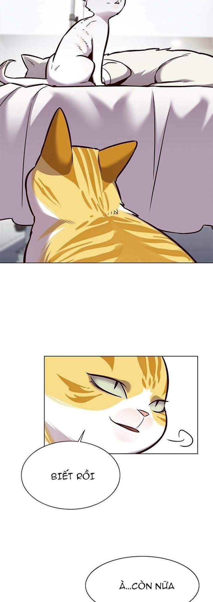 Hoá Thân Thành Mèo Chapter 166 - Trang 2