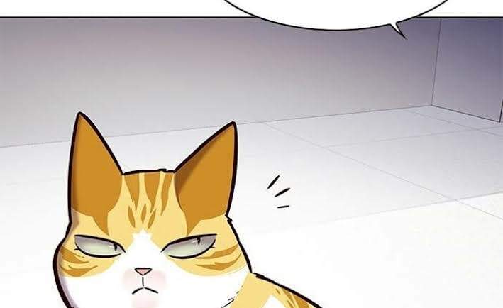 Hoá Thân Thành Mèo Chapter 166 - Trang 2