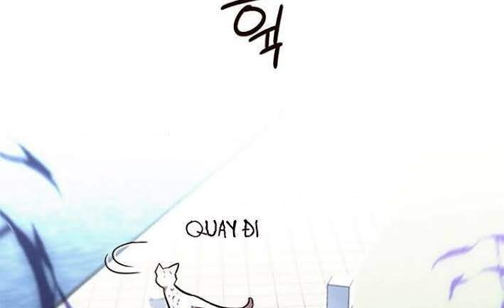 Hoá Thân Thành Mèo Chapter 166 - Trang 2