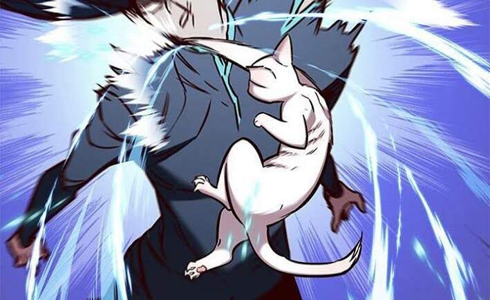 Hoá Thân Thành Mèo Chapter 166 - Trang 2