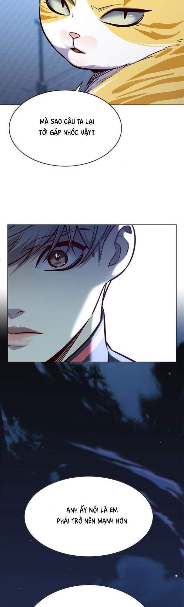 Hoá Thân Thành Mèo Chapter 169 - Trang 2