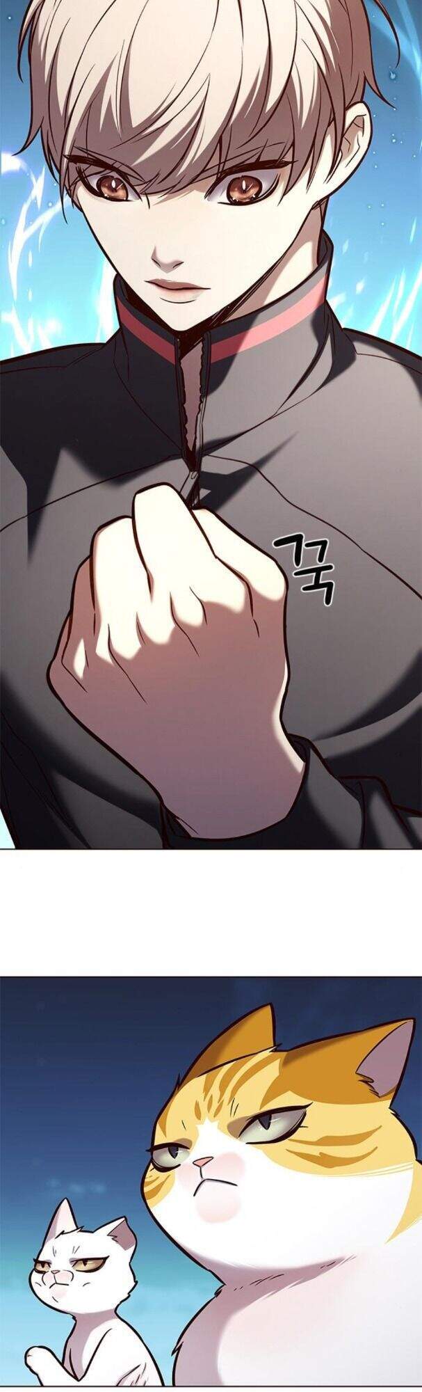 Hoá Thân Thành Mèo Chapter 169 - Trang 2