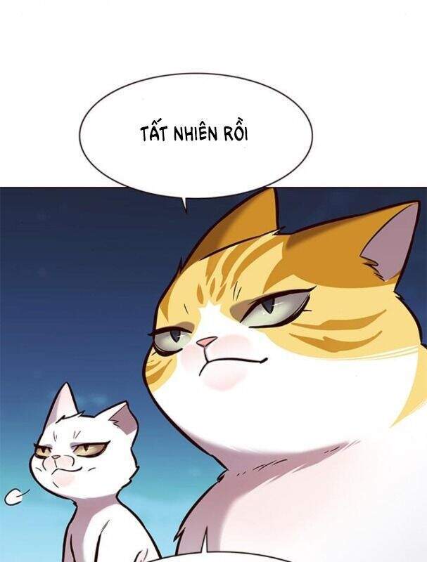 Hoá Thân Thành Mèo Chapter 169 - Trang 2