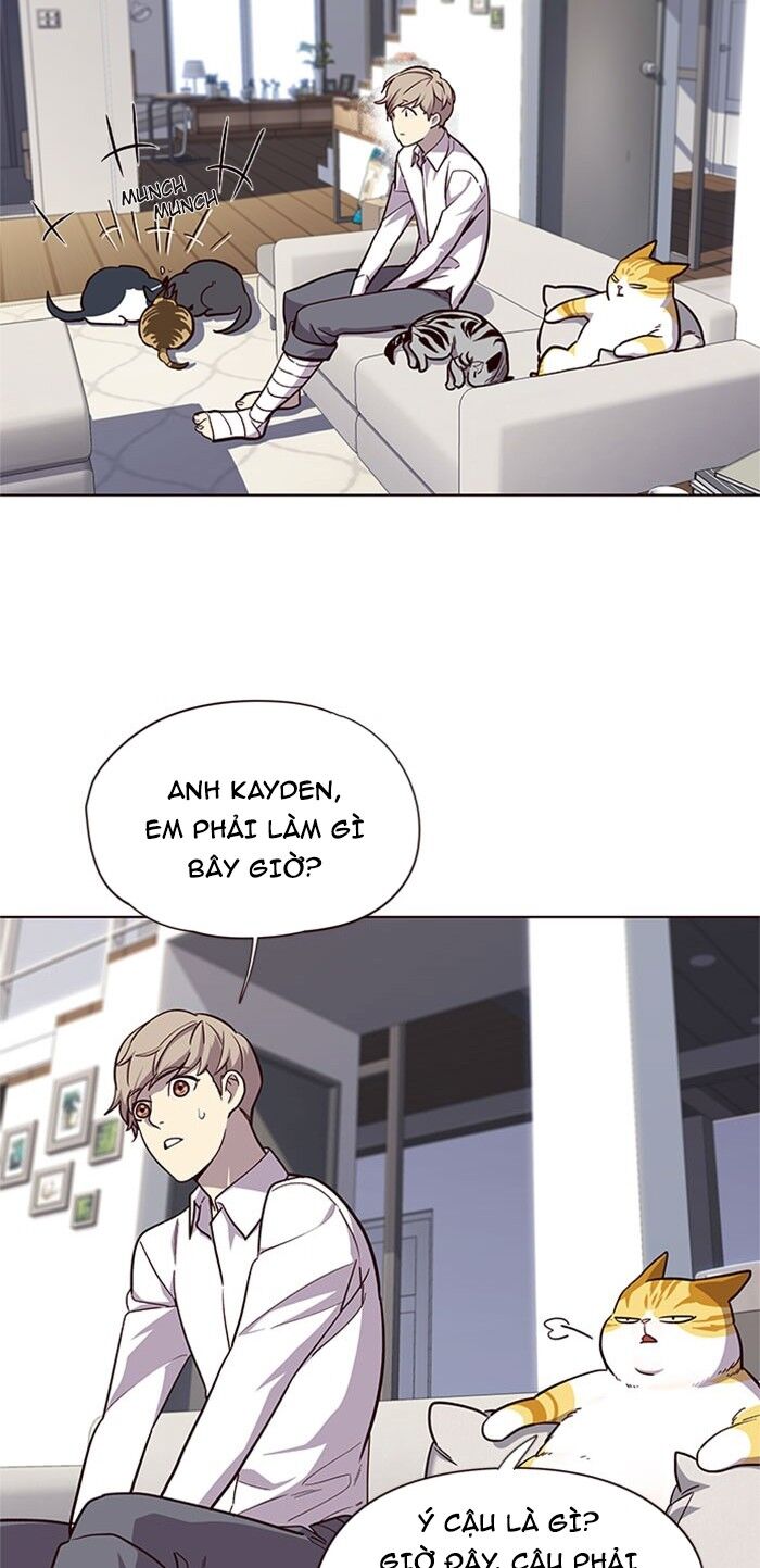 Hoá Thân Thành Mèo Chapter 17 - Trang 2