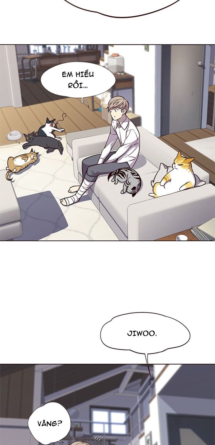 Hoá Thân Thành Mèo Chapter 17 - Trang 2