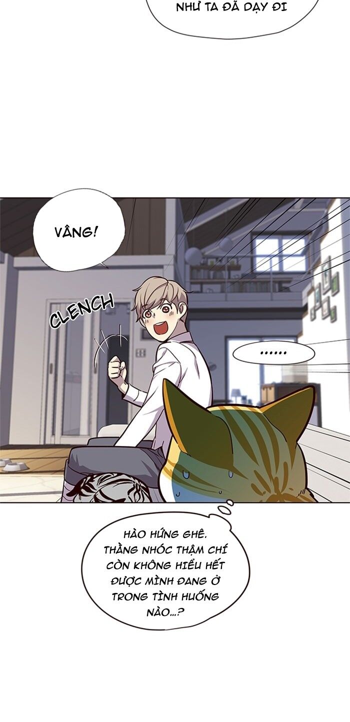 Hoá Thân Thành Mèo Chapter 17 - Trang 2