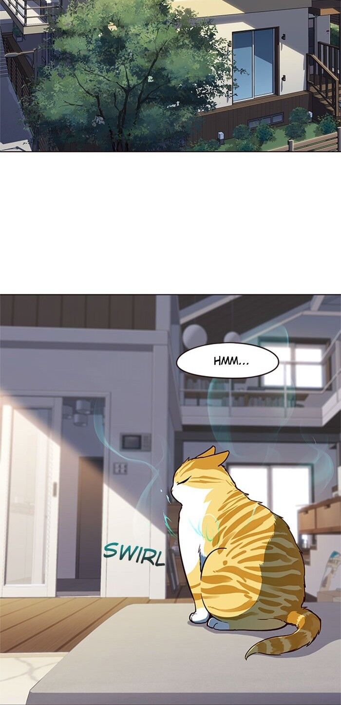 Hoá Thân Thành Mèo Chapter 17 - Trang 2