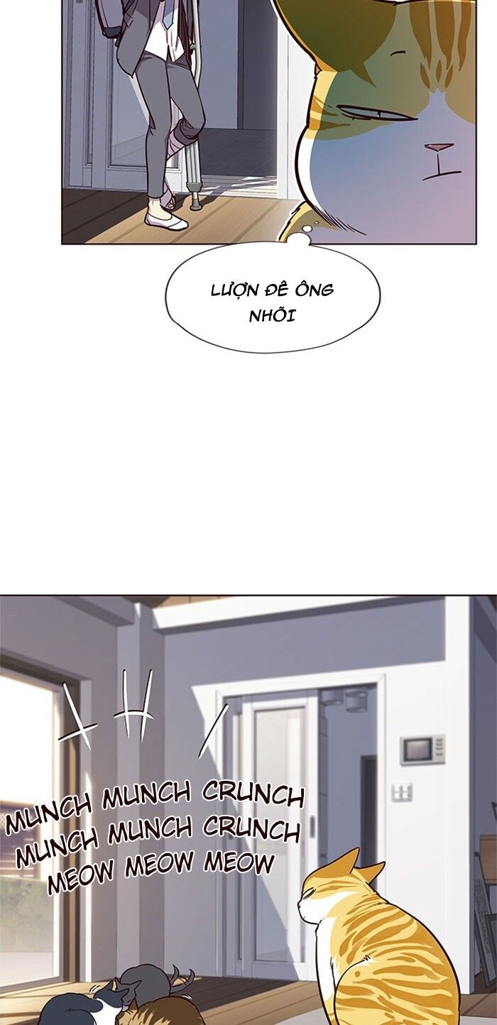 Hoá Thân Thành Mèo Chapter 17 - Trang 2