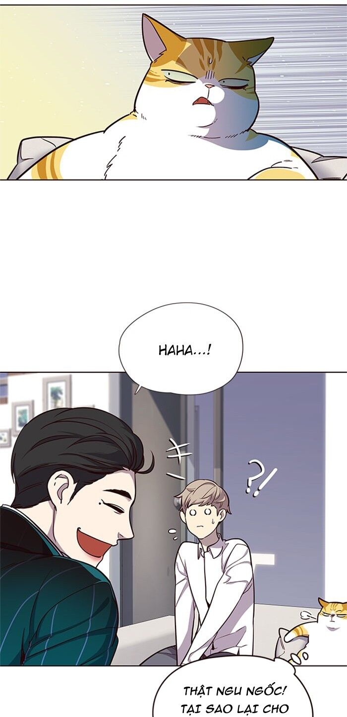 Hoá Thân Thành Mèo Chapter 17 - Trang 2