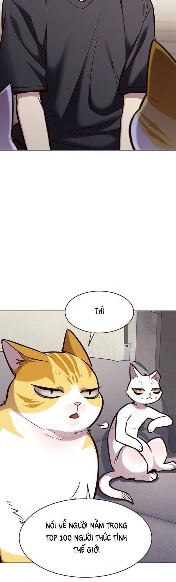 Hoá Thân Thành Mèo Chapter 173 - Trang 2