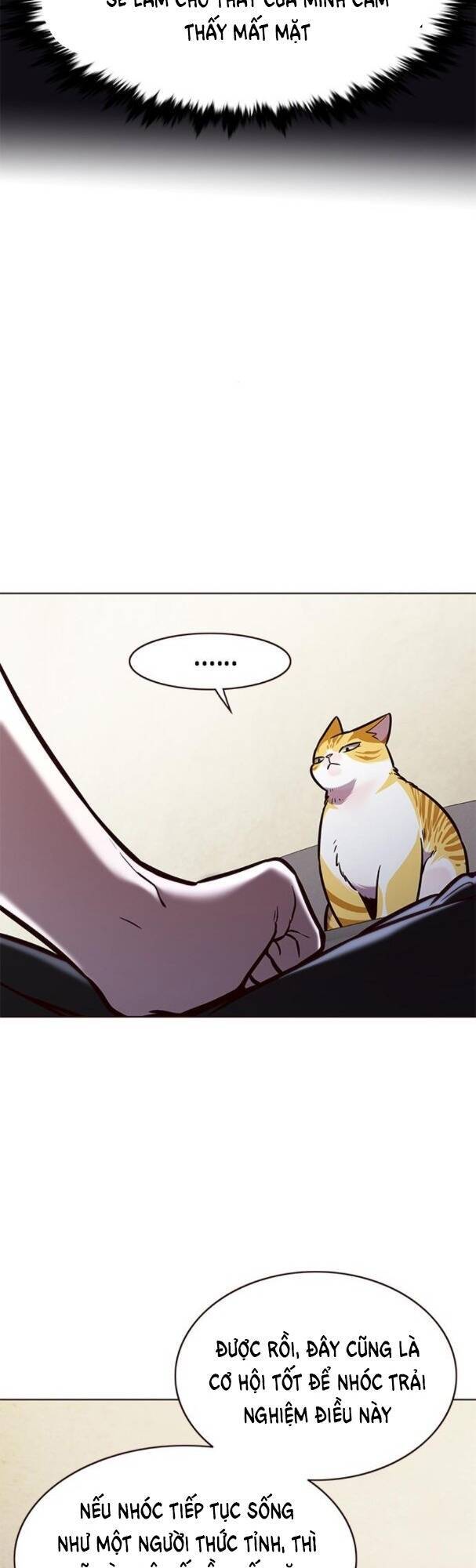 Hoá Thân Thành Mèo Chapter 173 - Trang 2