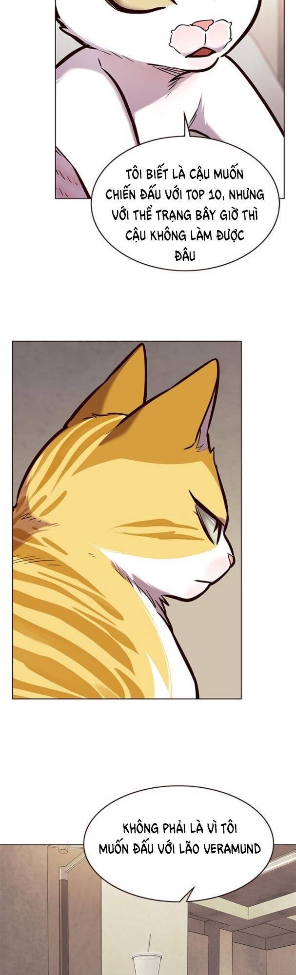Hoá Thân Thành Mèo Chapter 173 - Trang 2
