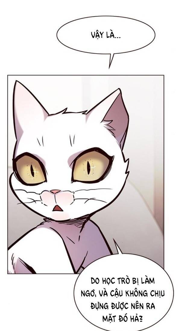 Hoá Thân Thành Mèo Chapter 173 - Trang 2