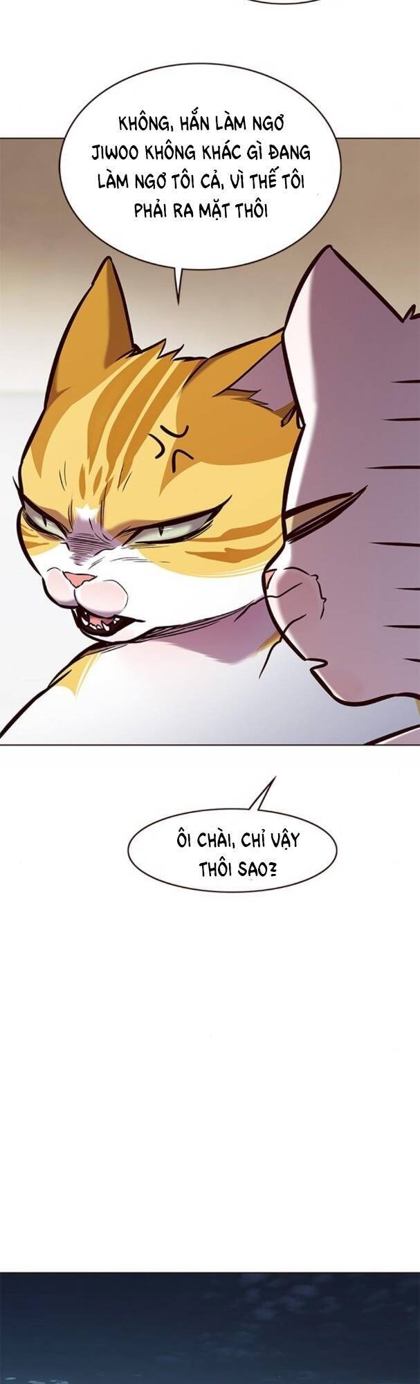 Hoá Thân Thành Mèo Chapter 173 - Trang 2