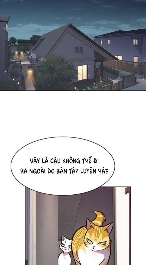 Hoá Thân Thành Mèo Chapter 173 - Trang 2