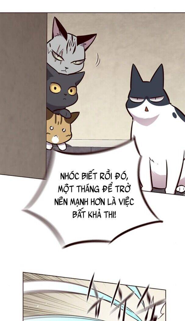 Hoá Thân Thành Mèo Chapter 174 - Trang 2