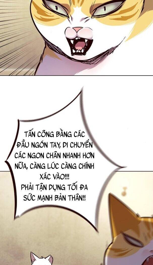 Hoá Thân Thành Mèo Chapter 174 - Trang 2