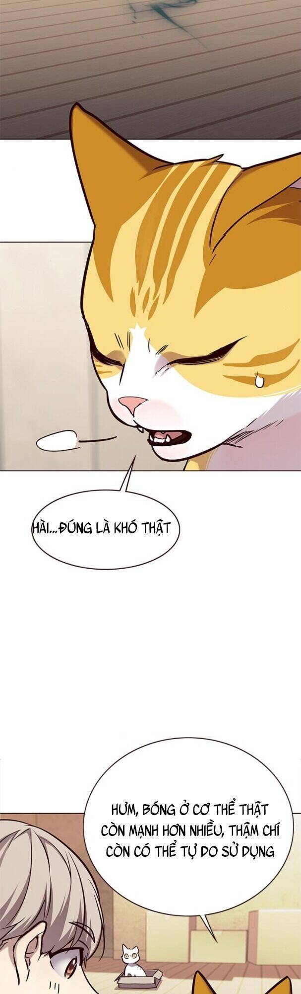 Hoá Thân Thành Mèo Chapter 174 - Trang 2