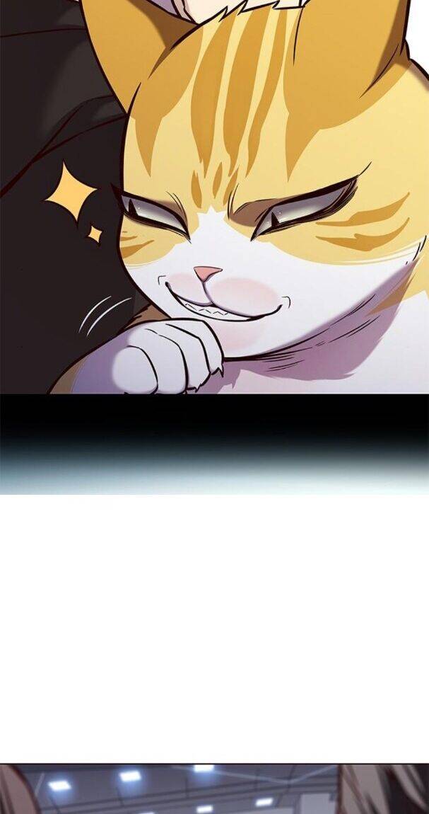 Hoá Thân Thành Mèo Chapter 176 - Trang 2