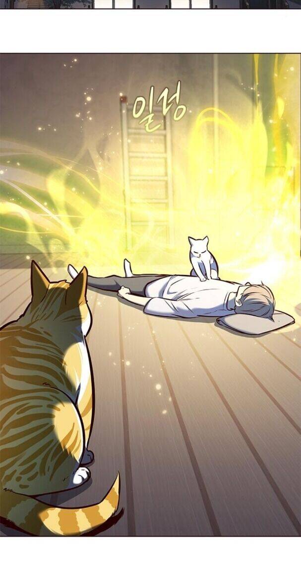 Hoá Thân Thành Mèo Chapter 176 - Trang 2