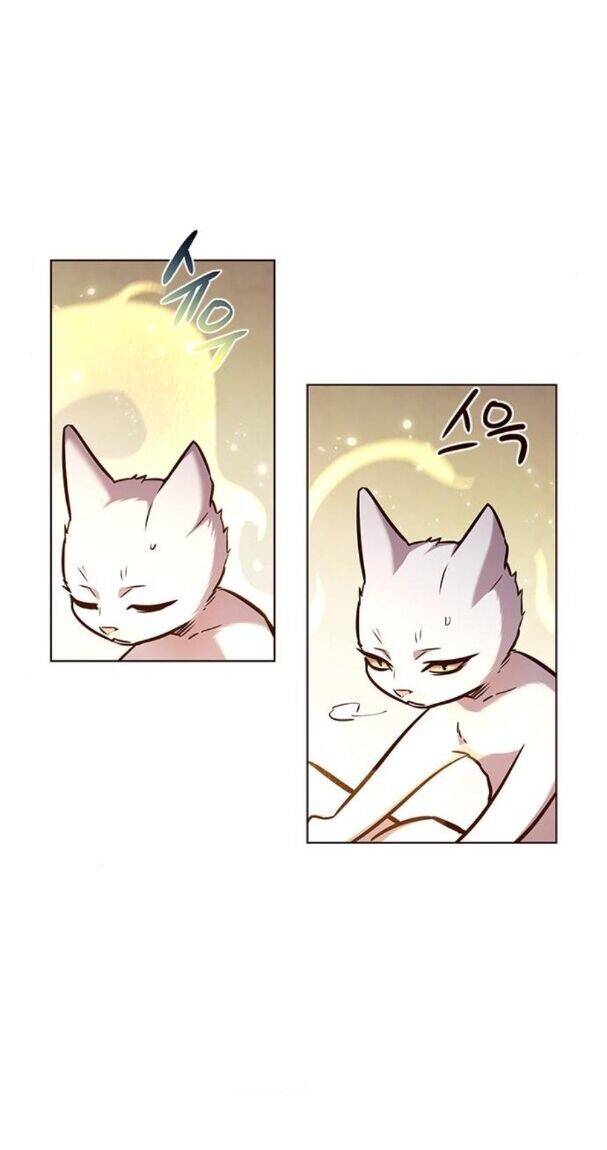 Hoá Thân Thành Mèo Chapter 176 - Trang 2