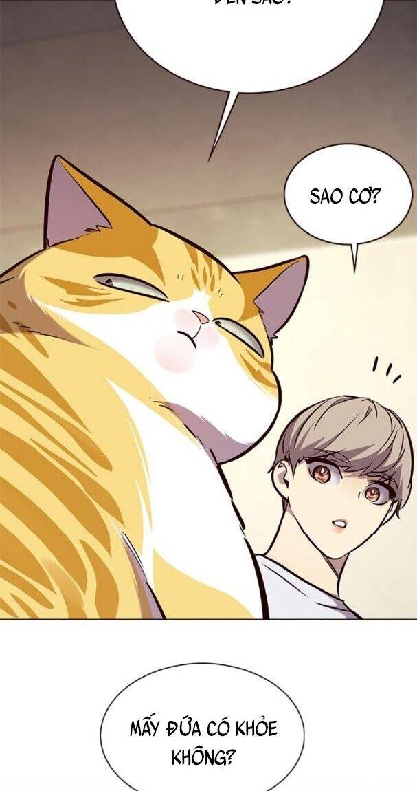 Hoá Thân Thành Mèo Chapter 176 - Trang 2