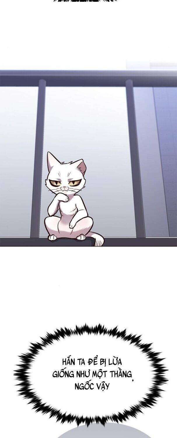 Hoá Thân Thành Mèo Chapter 176 - Trang 2