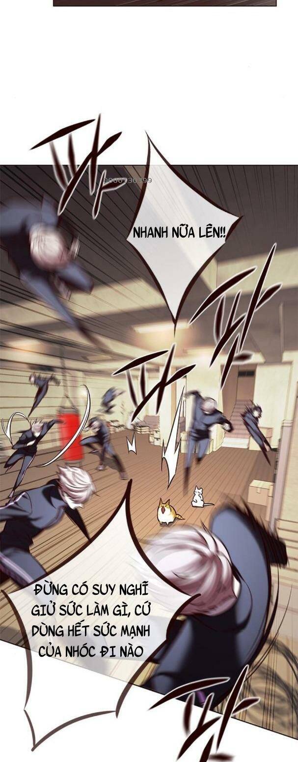 Hoá Thân Thành Mèo Chapter 179 - Trang 2