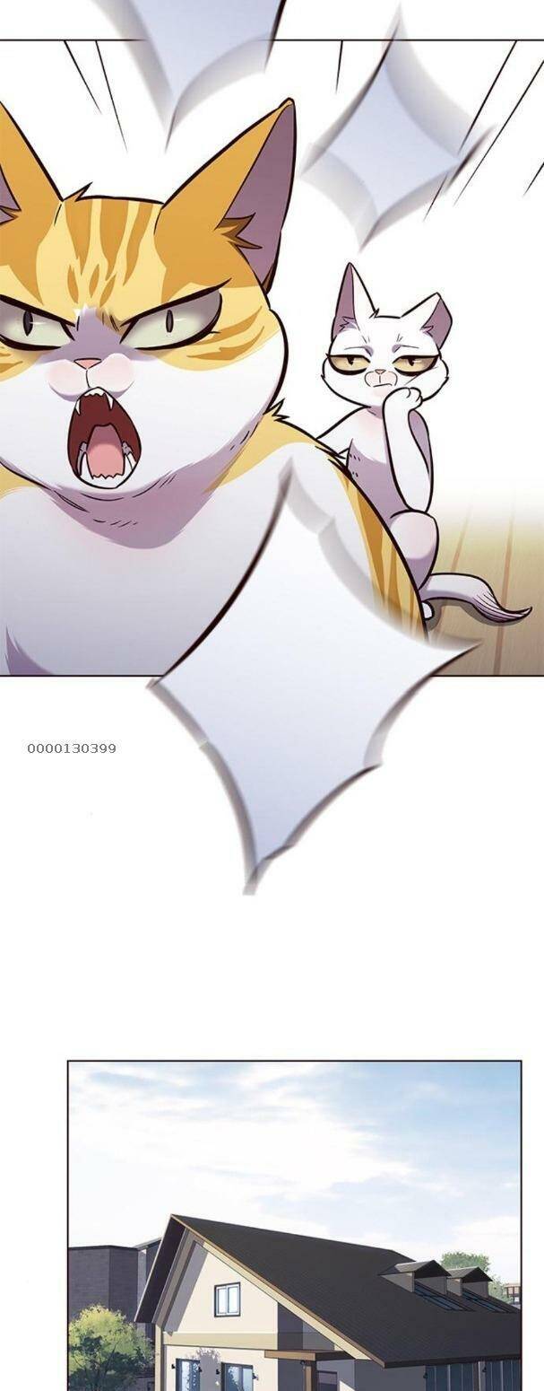 Hoá Thân Thành Mèo Chapter 179 - Trang 2