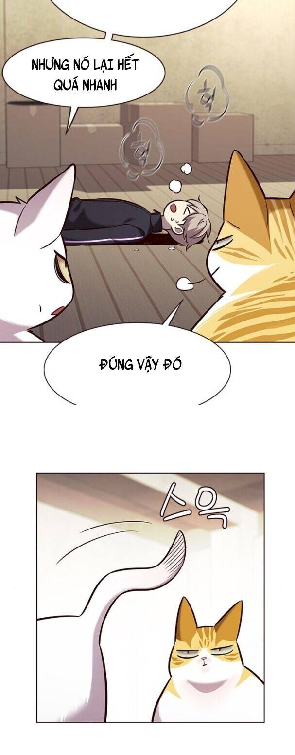 Hoá Thân Thành Mèo Chapter 179 - Trang 2