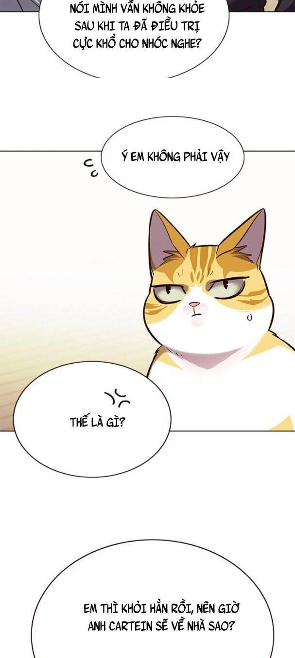 Hoá Thân Thành Mèo Chapter 179 - Trang 2