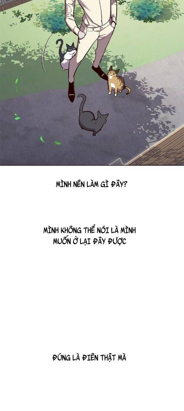 Hoá Thân Thành Mèo Chapter 179 - Trang 2