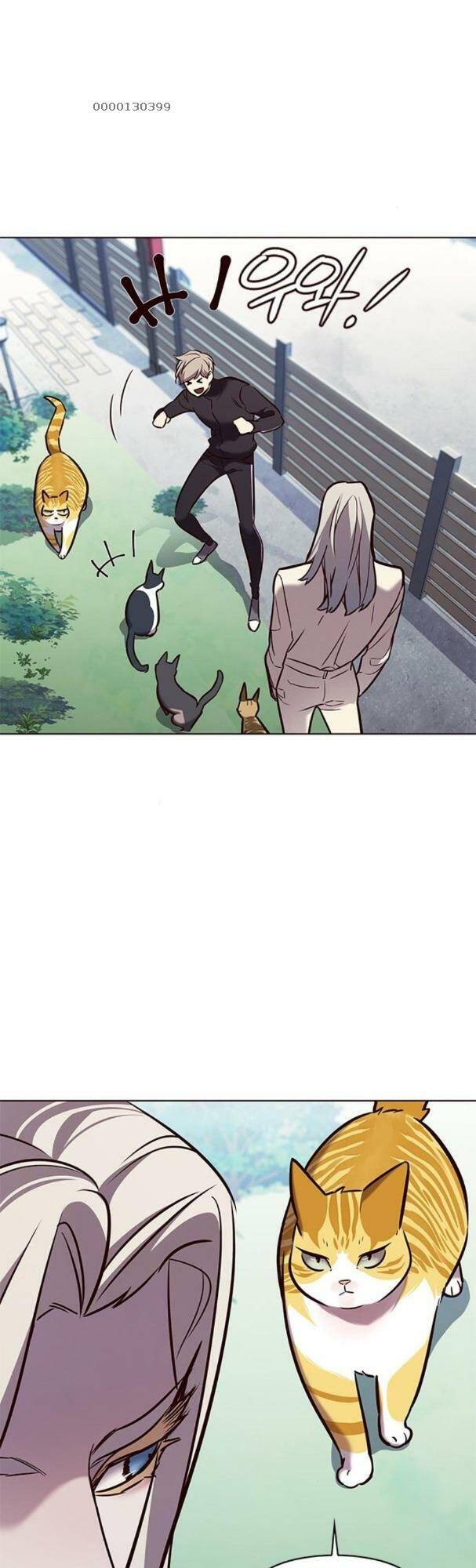 Hoá Thân Thành Mèo Chapter 179 - Trang 2