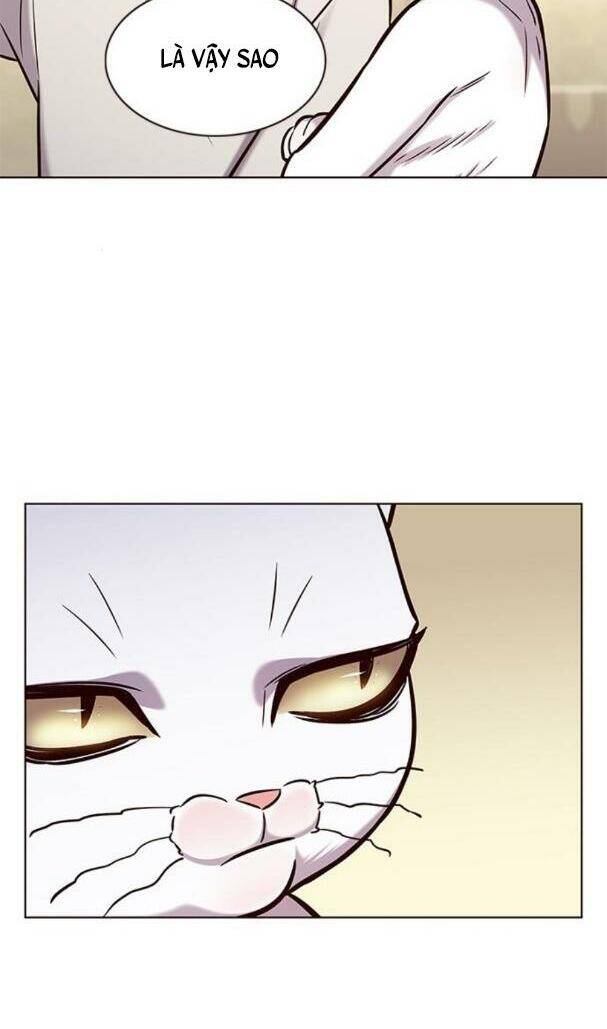 Hoá Thân Thành Mèo Chapter 180 - Trang 2