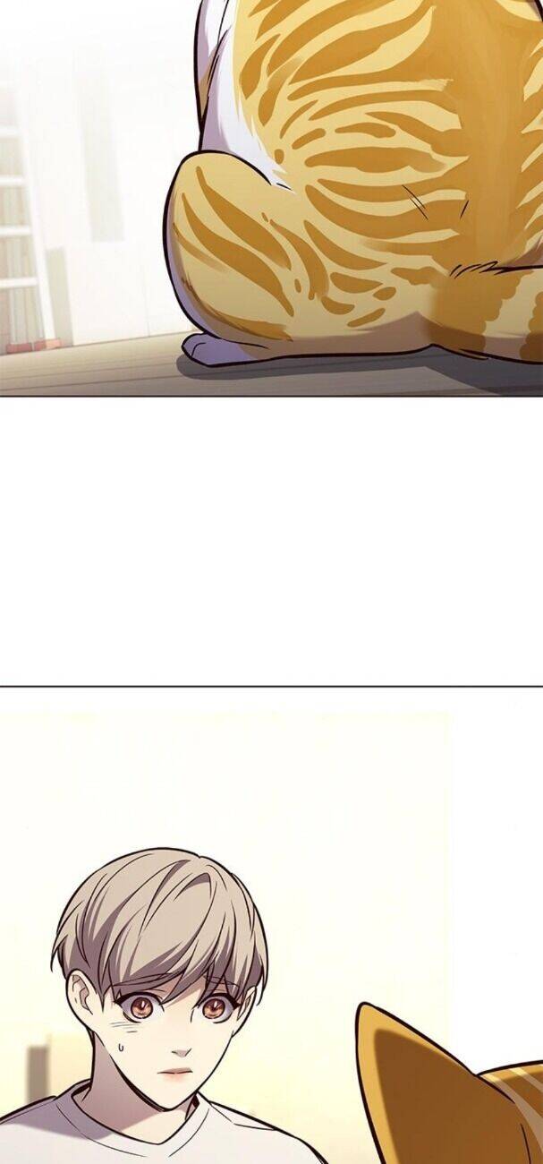 Hoá Thân Thành Mèo Chapter 180 - Trang 2