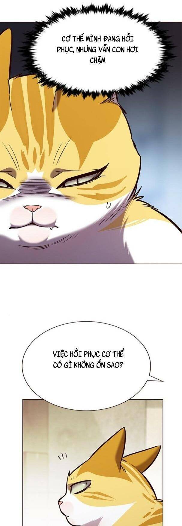Hoá Thân Thành Mèo Chapter 180 - Trang 2