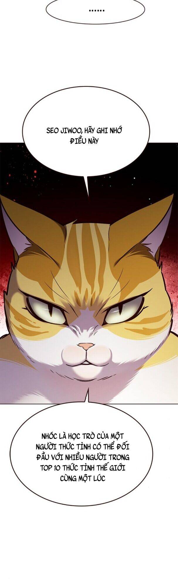 Hoá Thân Thành Mèo Chapter 180 - Trang 2