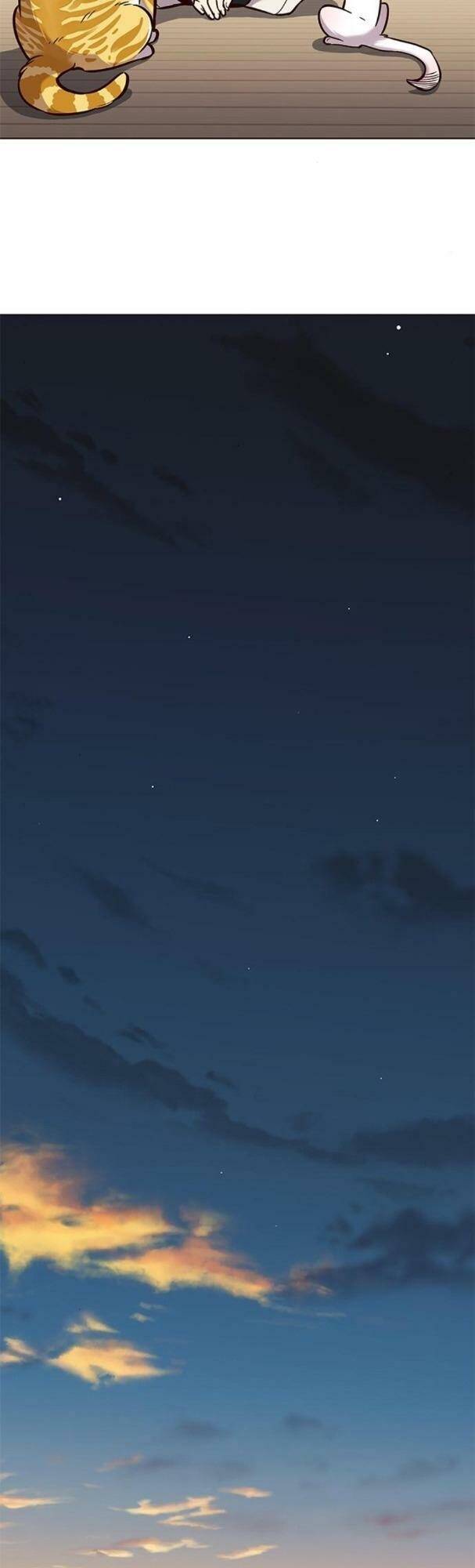 Hoá Thân Thành Mèo Chapter 180 - Trang 2