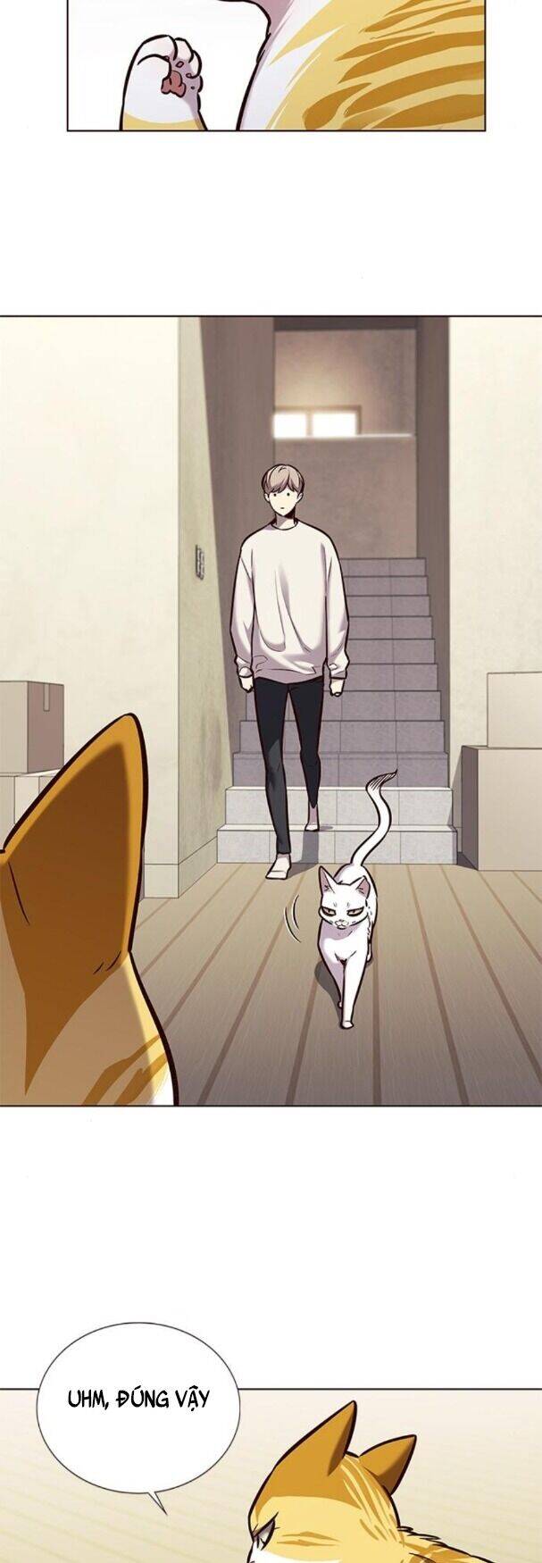 Hoá Thân Thành Mèo Chapter 180 - Trang 2