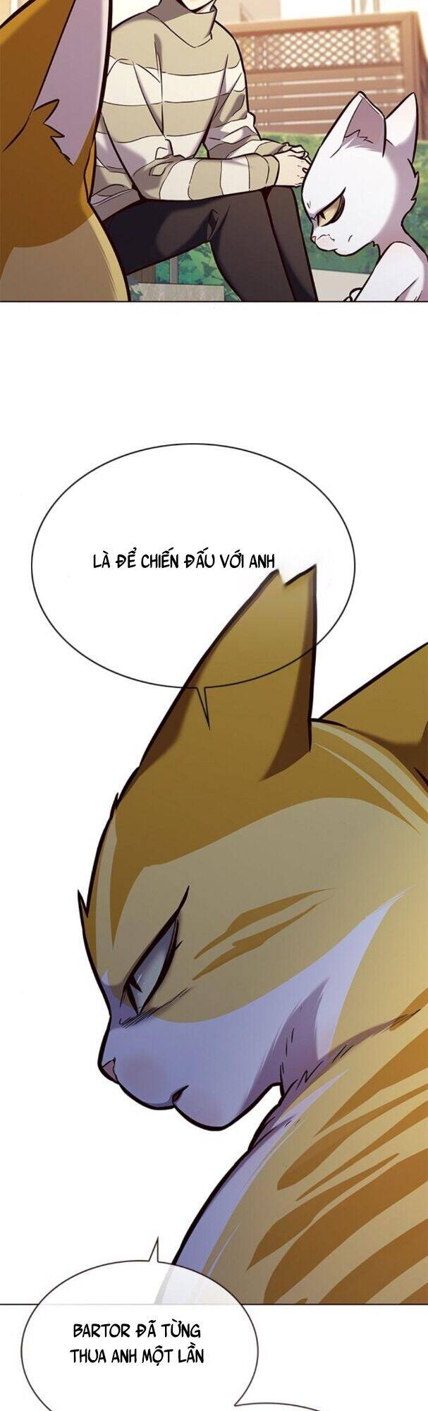 Hoá Thân Thành Mèo Chapter 181 - Trang 2