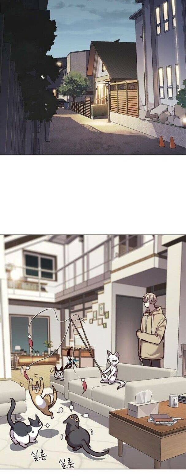 Hoá Thân Thành Mèo Chapter 182 - Trang 2