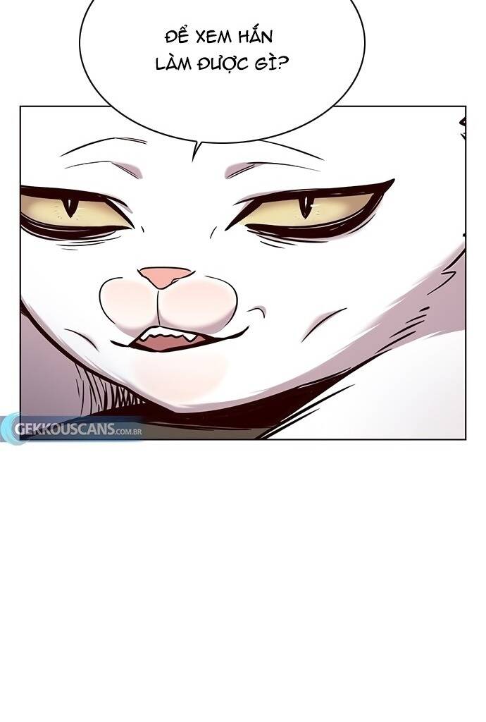 Hoá Thân Thành Mèo Chapter 187 - Trang 2