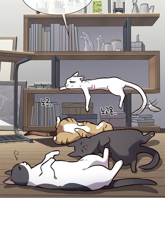 Hoá Thân Thành Mèo Chapter 187 - Trang 2