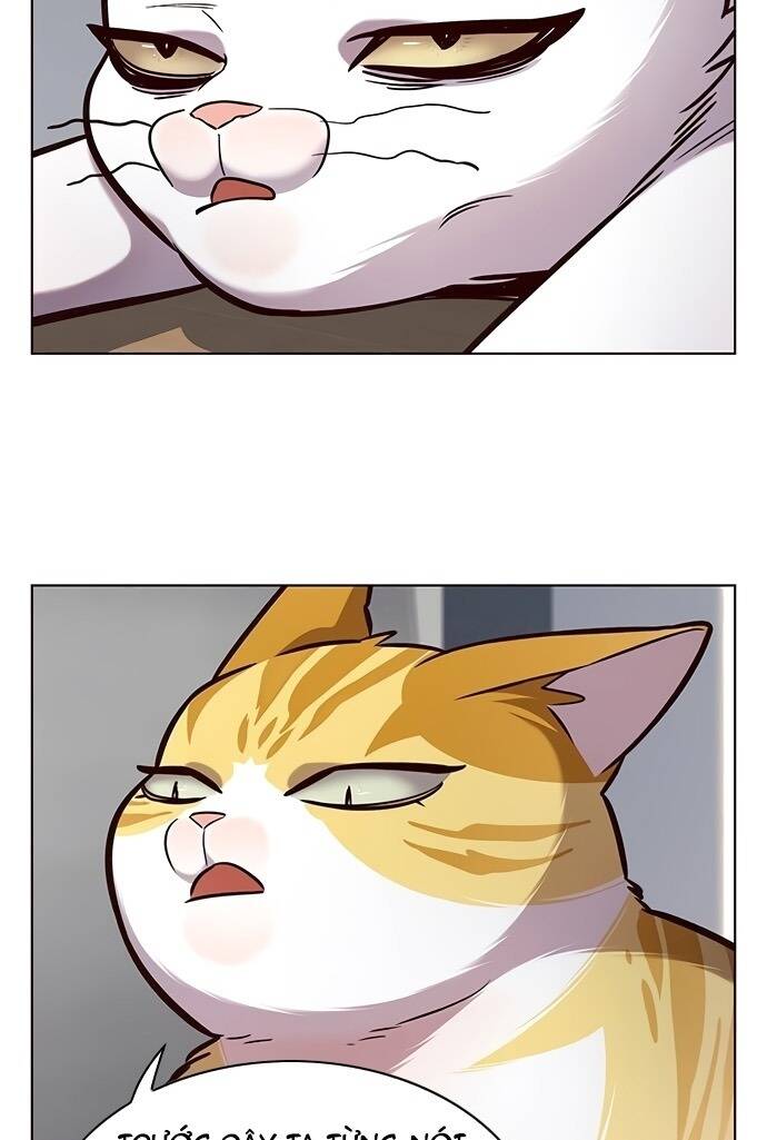 Hoá Thân Thành Mèo Chapter 187 - Trang 2
