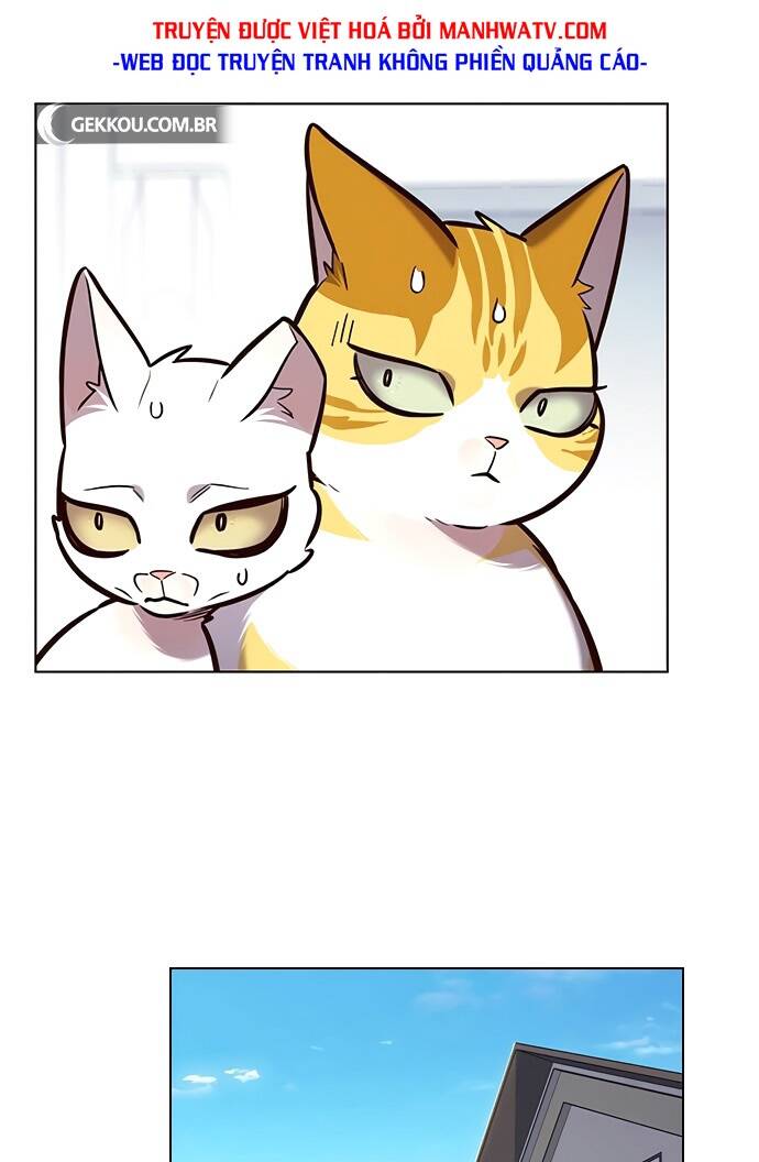 Hoá Thân Thành Mèo Chapter 188 - Trang 2