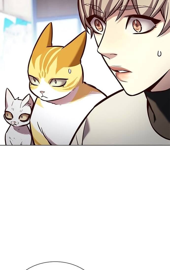 Hoá Thân Thành Mèo Chapter 188 - Trang 2