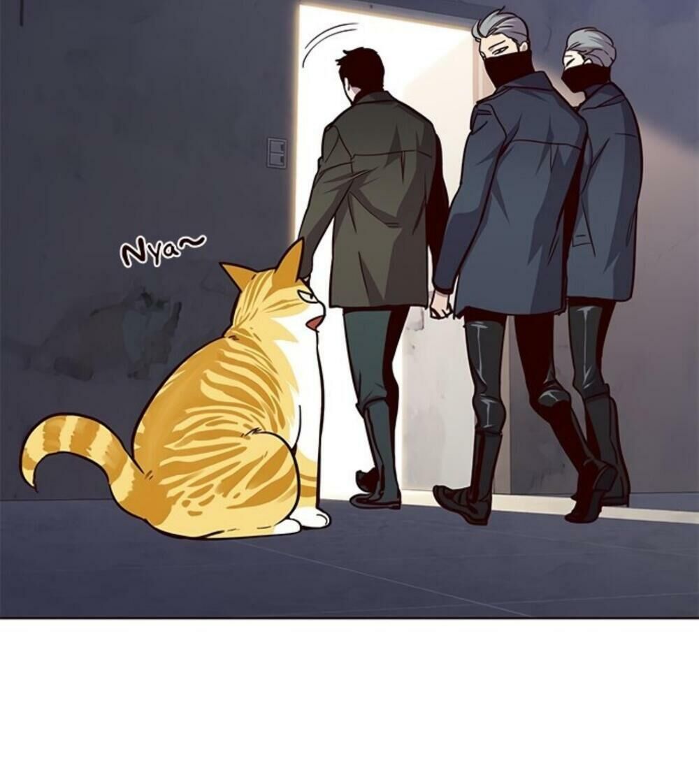 Hoá Thân Thành Mèo Chapter 19 - Trang 2