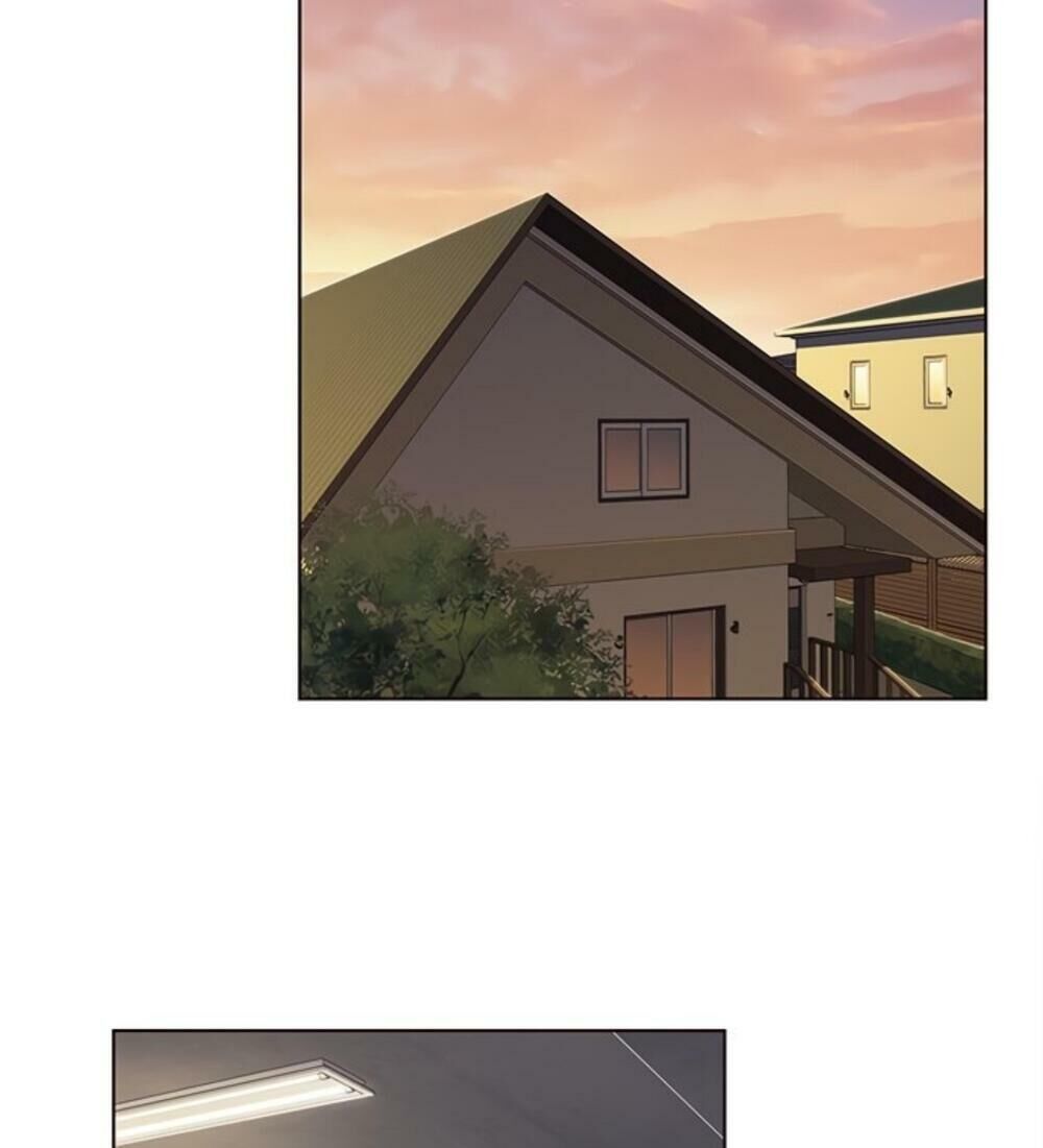 Hoá Thân Thành Mèo Chapter 19 - Trang 2