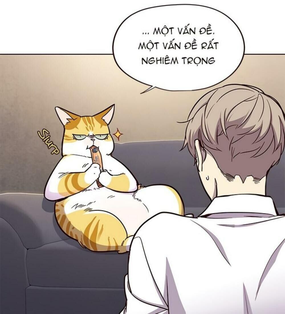 Hoá Thân Thành Mèo Chapter 19 - Trang 2